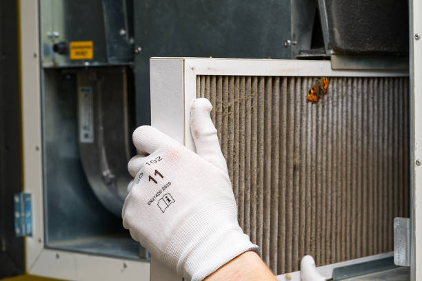 Best Professional Duct Cleaning Services  in Greenfield, CA