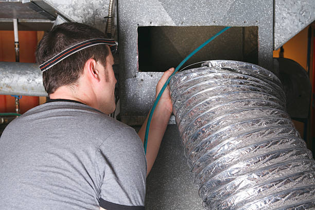 Best Air Duct Mold Removal  in Greenfield, CA